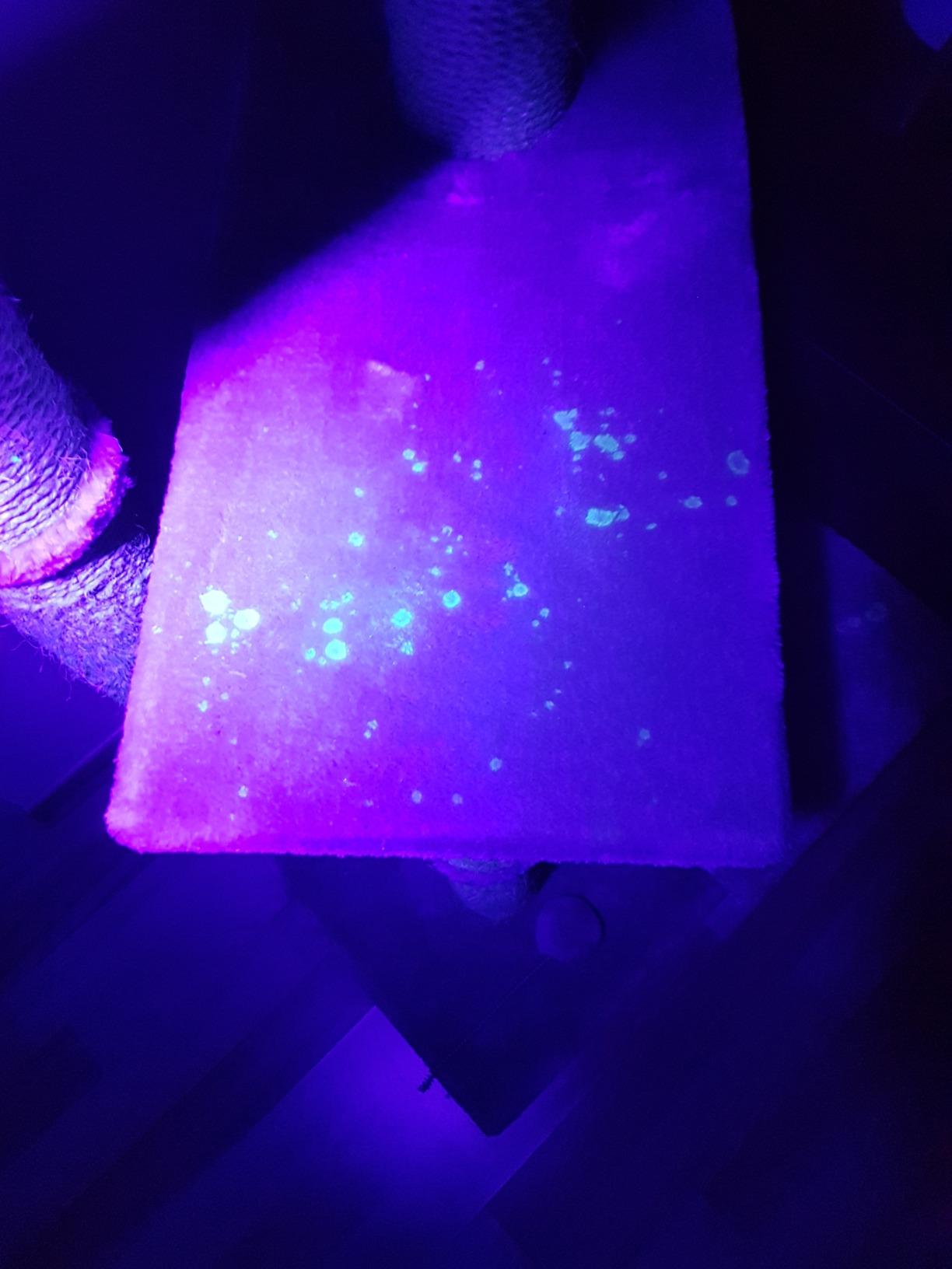 Lunartec UV-Taschenlampe 51 LEDs Geldscheinprüfer Batterie