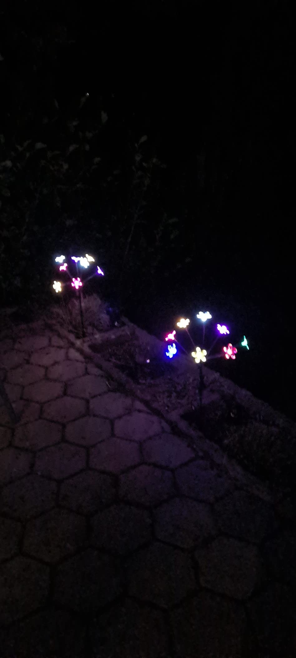 Lunartec Solar-Lichtersträucher 2er-Set 8 Blüten 50 cm