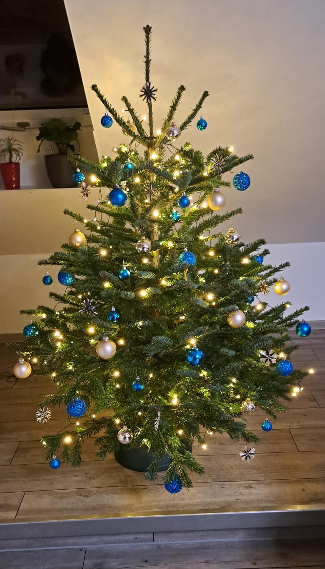 Qedertek Lighting 240 LED Christbaumbeleuchtung warmweiß 2,4m