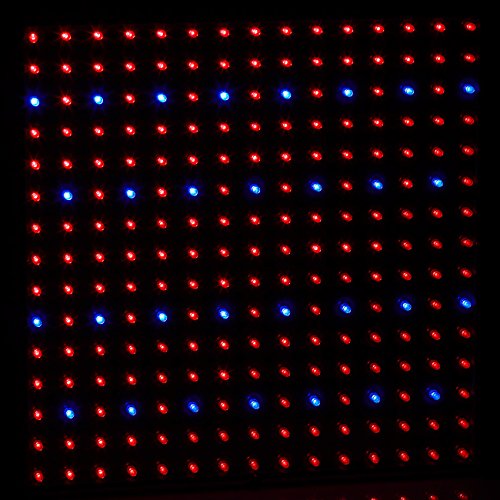 Lunartec Leuchtmittel Pflanzenlampe 225 LEDs 3er-Set rot-blau