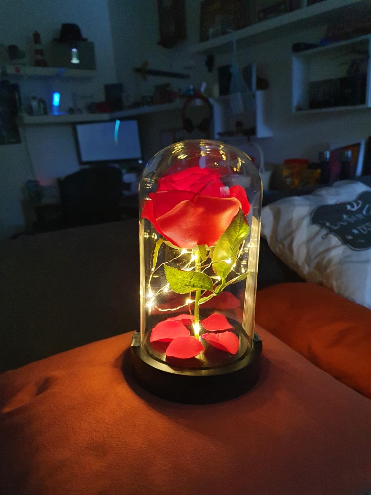 Lunartec Licht-Dekoration Rose im Glas LED rot 11,5x20cm