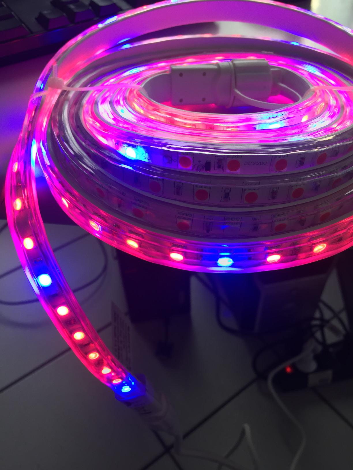 Lunartec Leuchtmittel LED-Pflanzenstreifen 3 m rot-blau