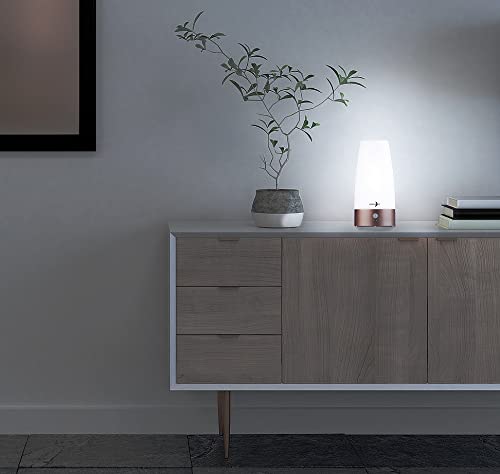 Lunartec Innenbeleuchtung LED Akku Tischlampe warmweiß PIR 2er-Set