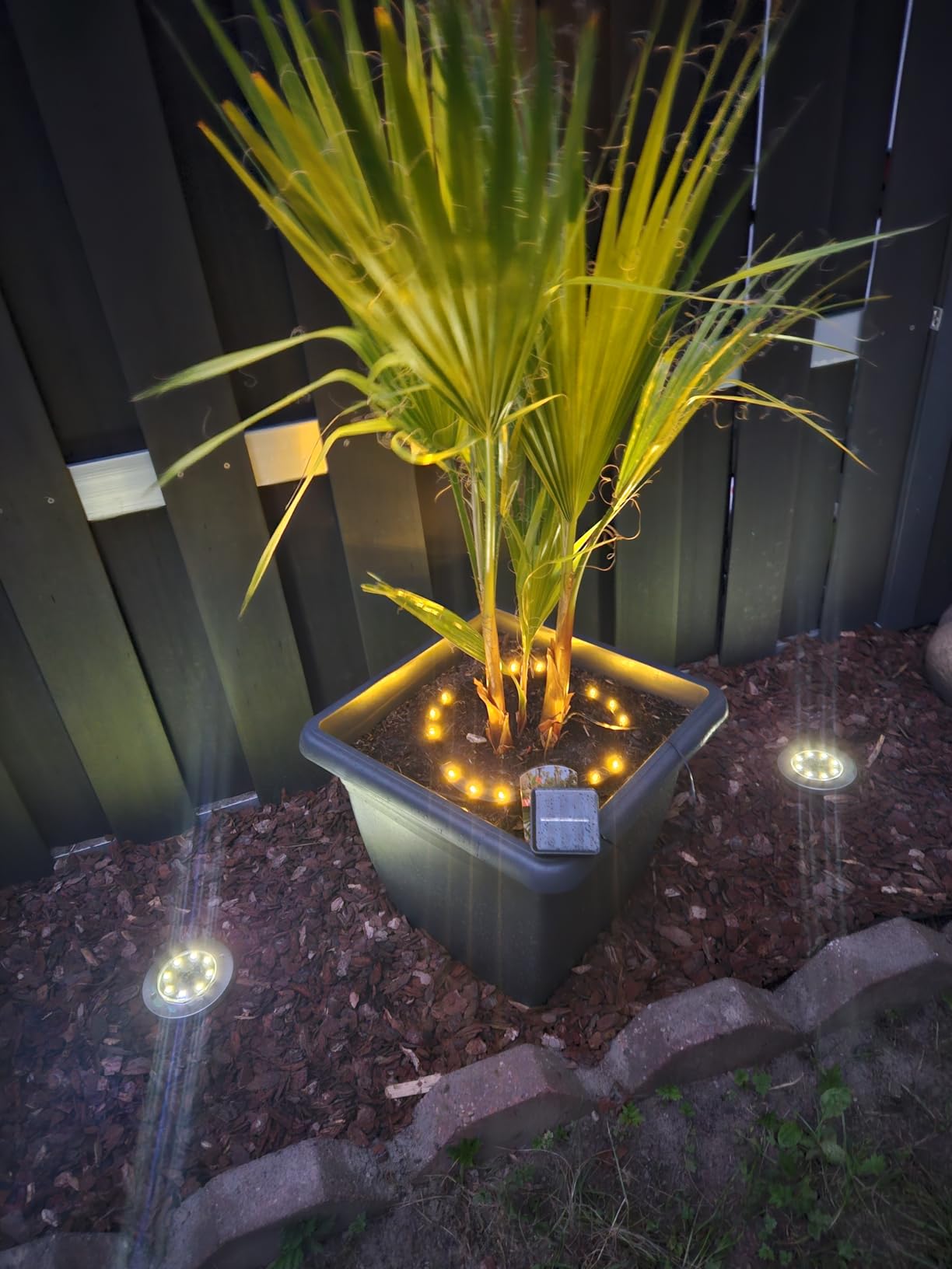 Lunartec Pflanzenstrahler Solar 15 LEDs Dämmerungssensor IP44