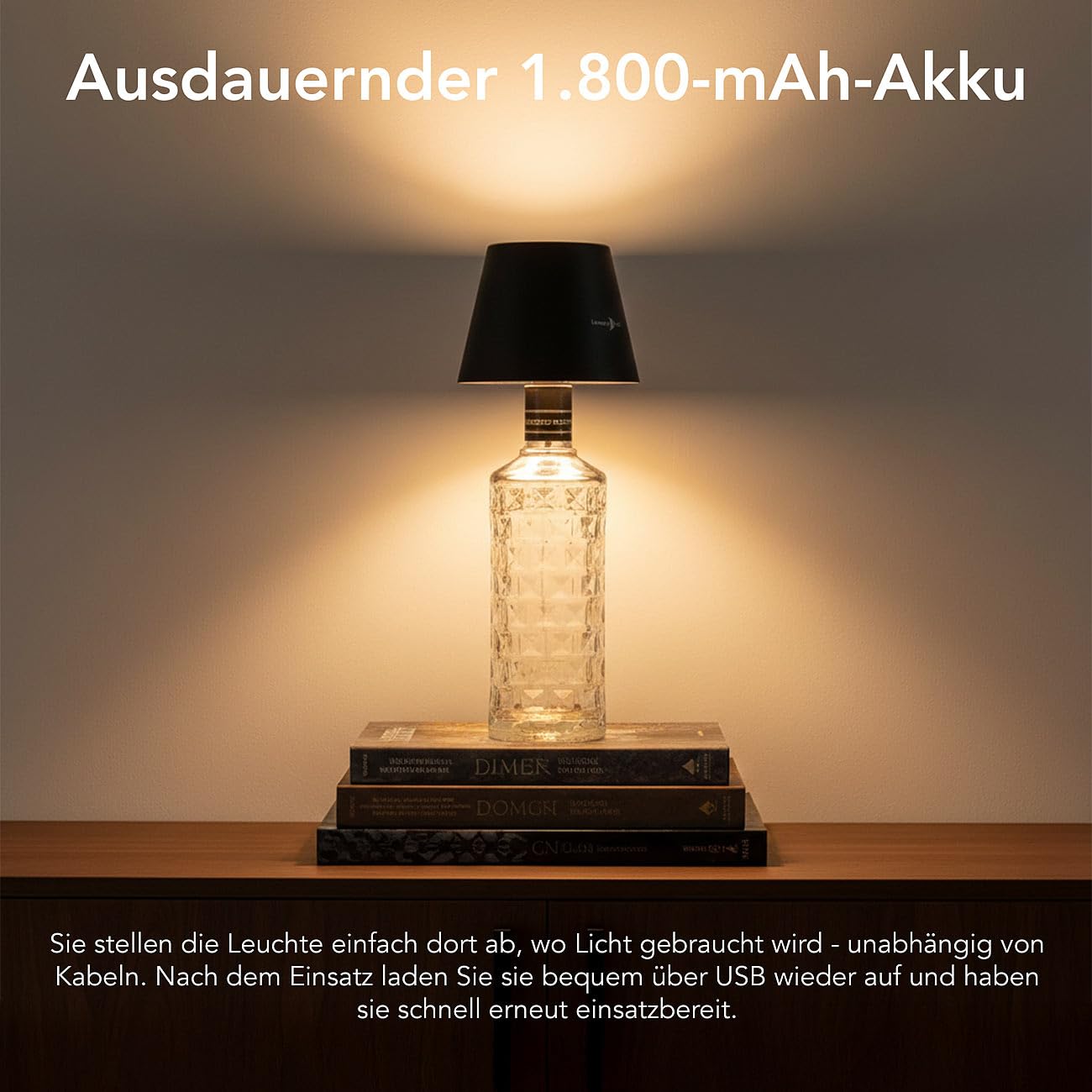 Lunartec Innenbeleuchtung Flaschenlampe RGBW Akku einzeln