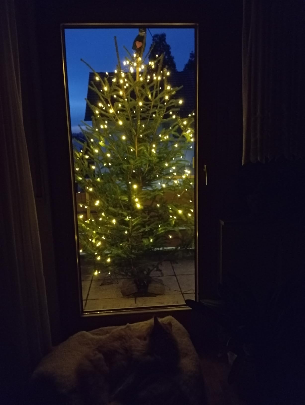 Qedertek Lighting 240 LED Christbaumbeleuchtung warmweiß 2,4m