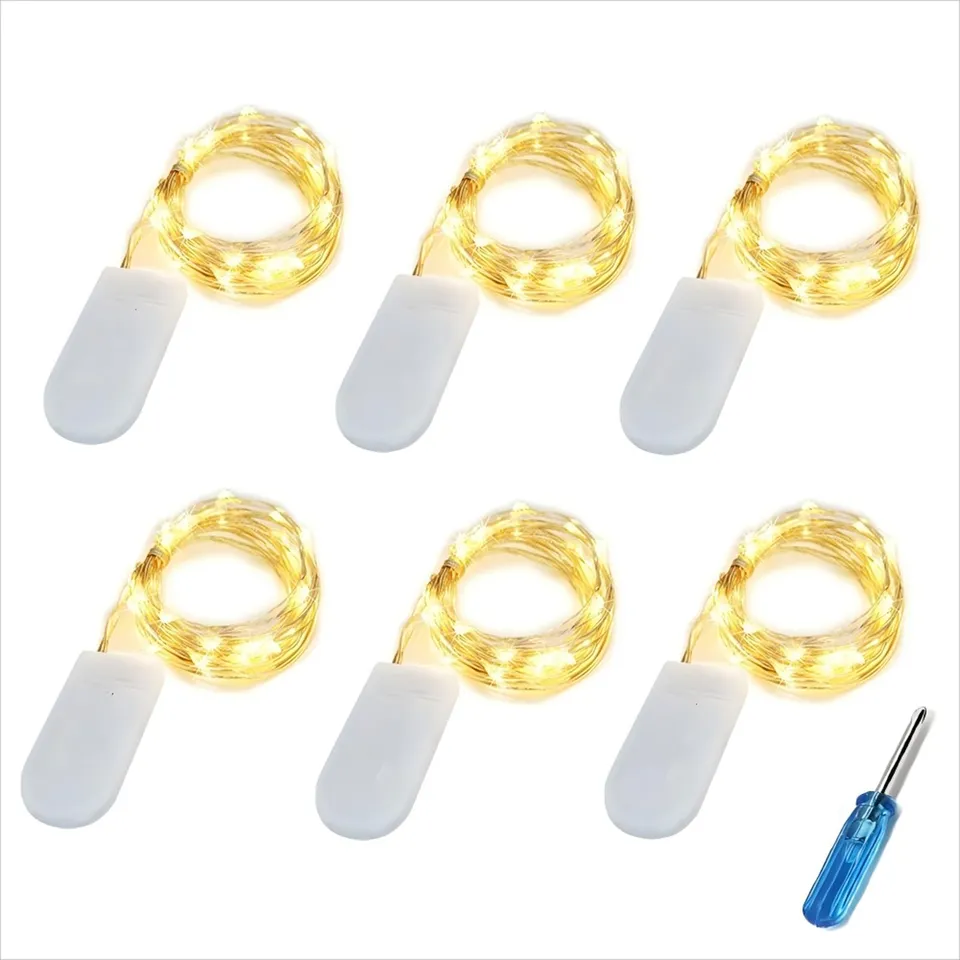 Bxroiu Lichterkette 6er Micro-LED Draht 2m warmweiß Batterie