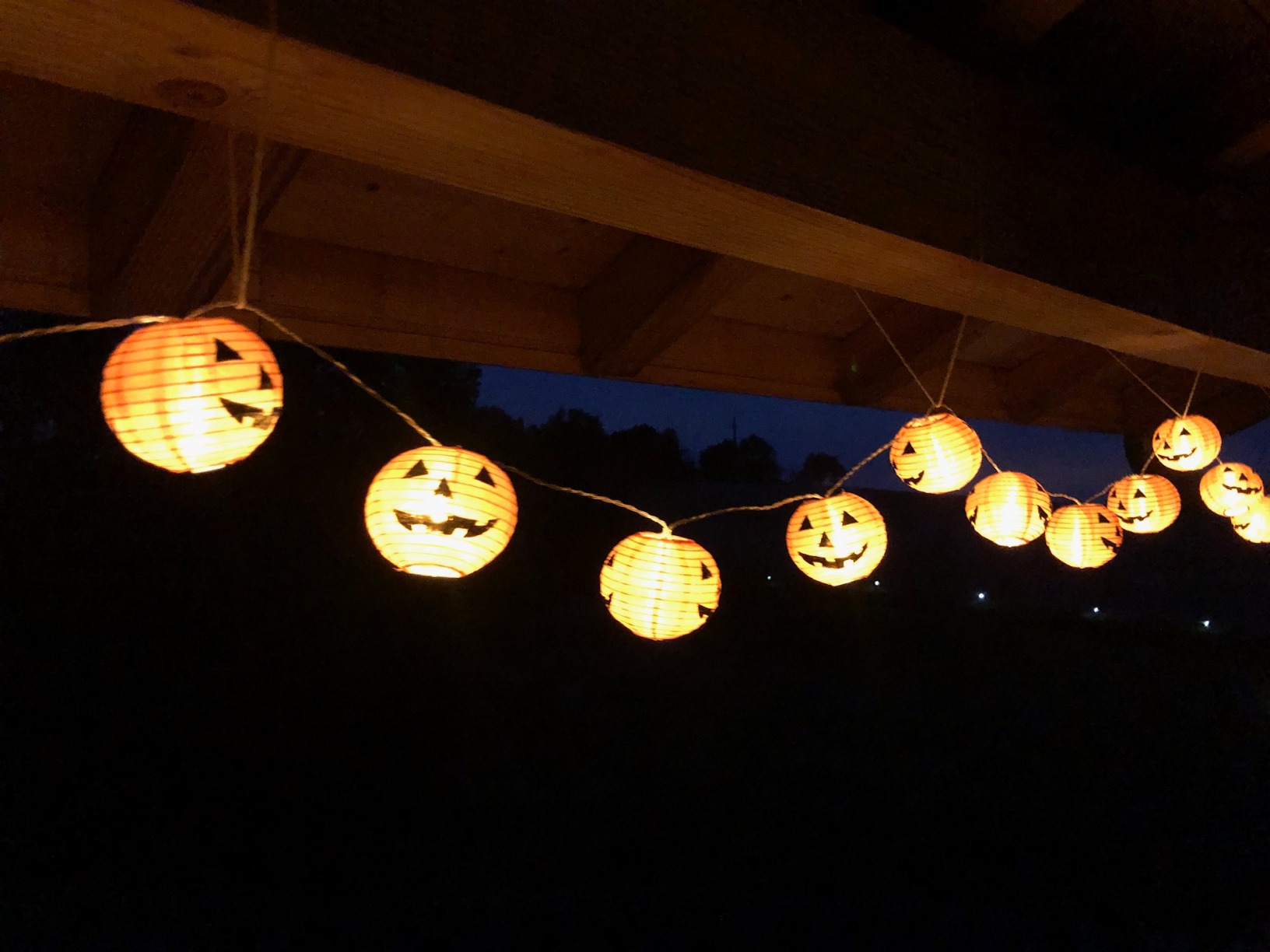Qedertek Lighting Halloween Laterne Lila 40 LED Batterie Timer