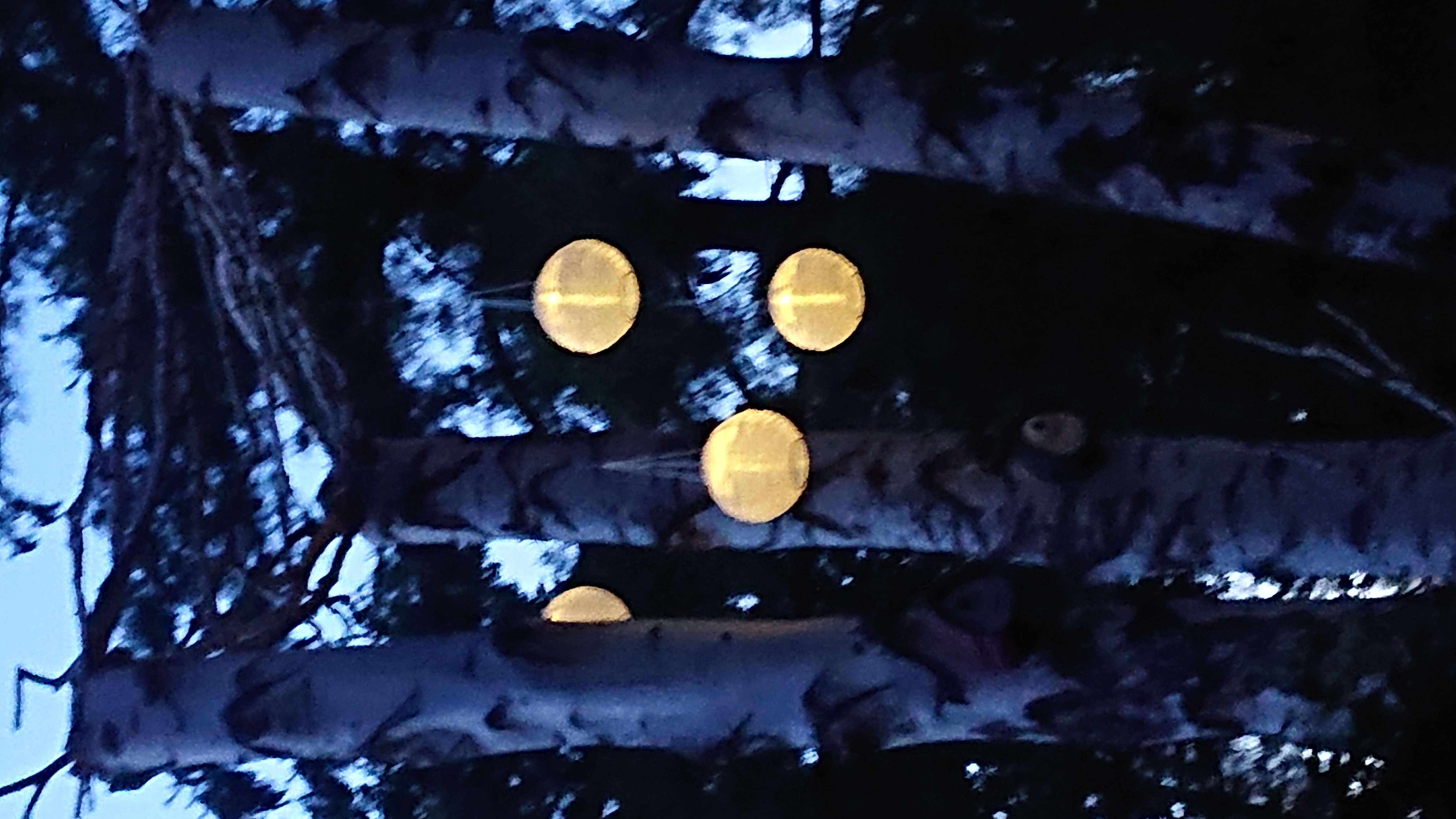Lunartec Licht-Dekoration Solarlampion 2er-Set 30 cm