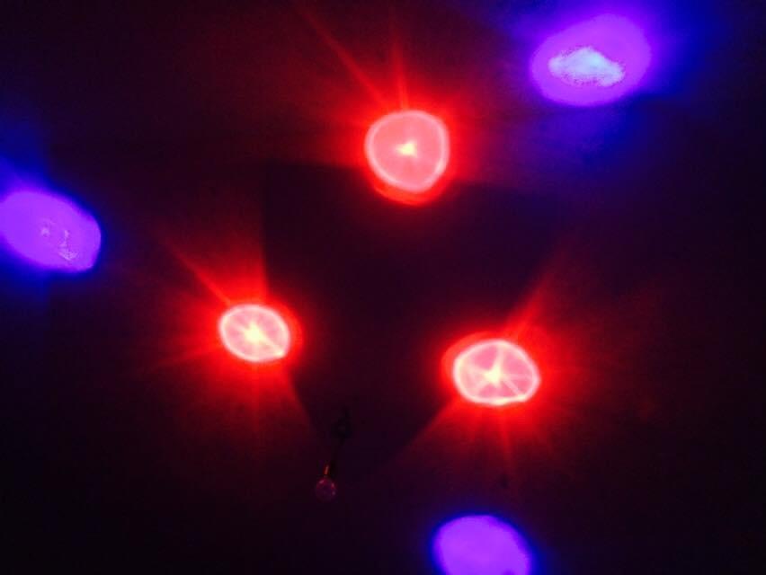 Lunartec Licht-Dekoration Mini-LED-Discolicht Batterie Rot Blau Grün