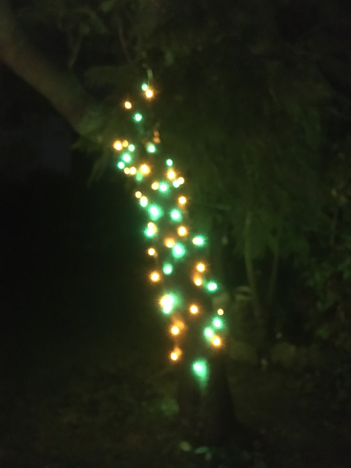 elktry Lichterkette 50m 2000 LED warmweiß mit Memory IP44