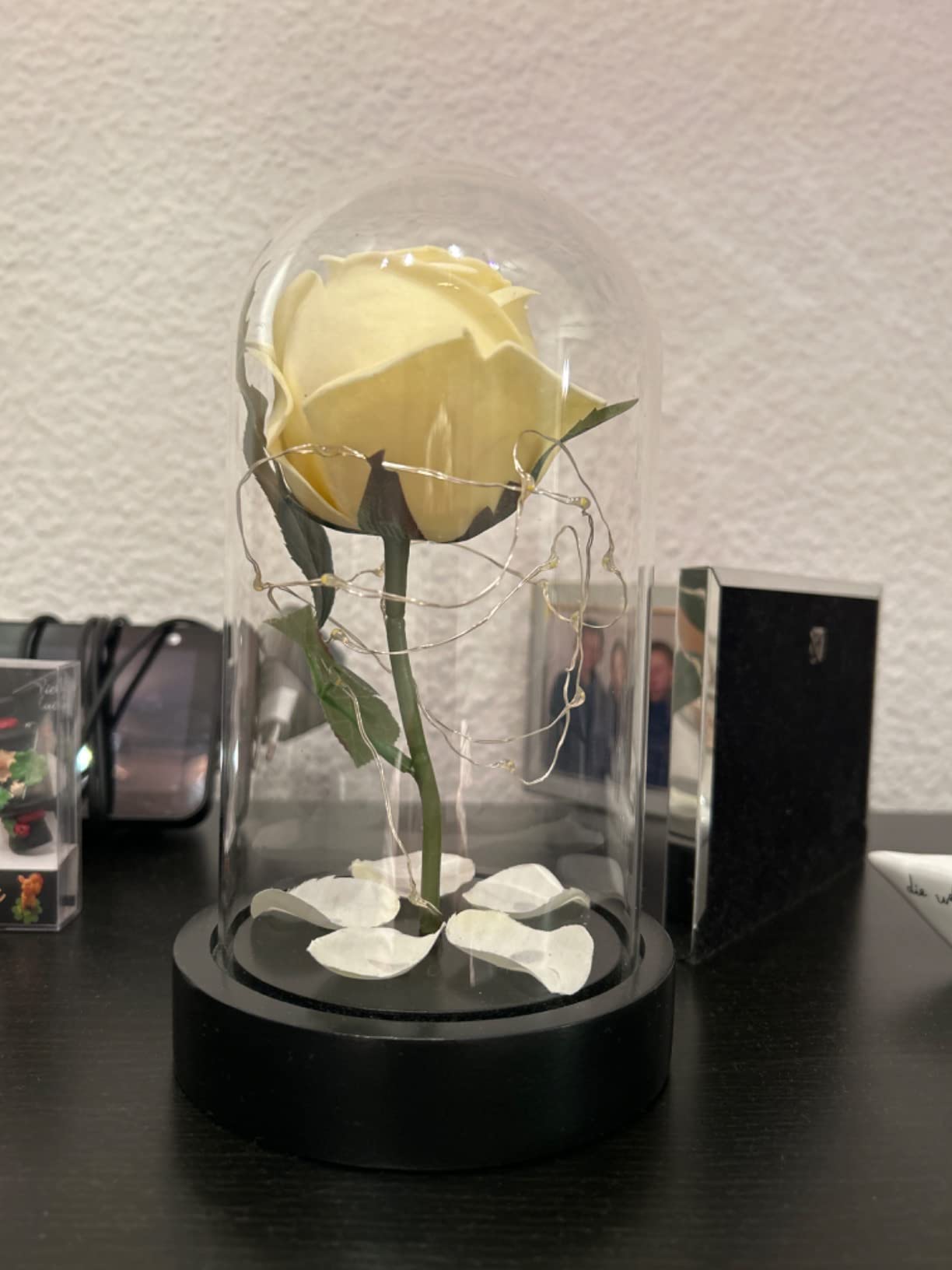 Lunartec LED Rose im Glas weiß warmweiß 25 LEDs Batterie