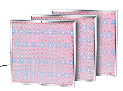 Lunartec Leuchtmittel Pflanzenlampe 225 LEDs 3er-Set rot-blau