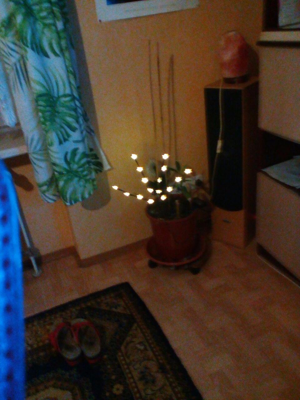 Lunartec LED-Lichterzweig 16 Sterne 44 cm batteriebetrieben