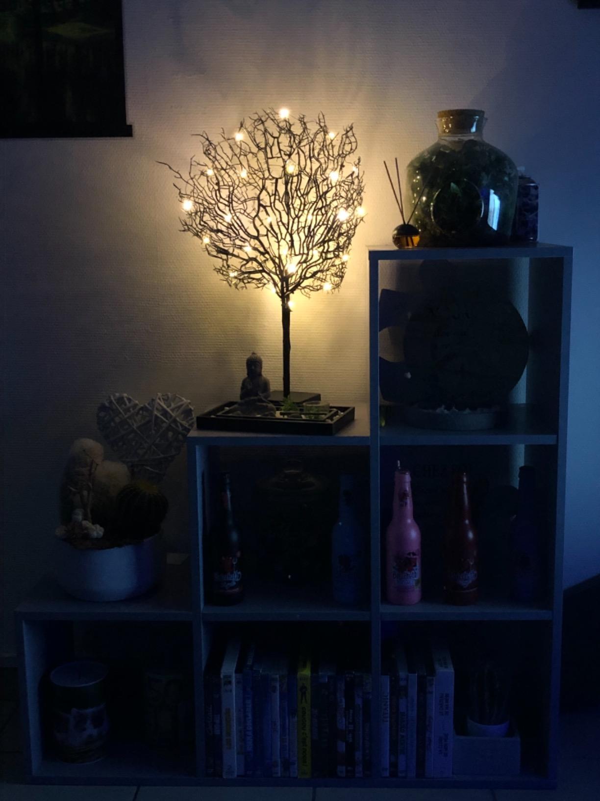 Lunartec Licht-Dekoration Lichterbaum 25 LEDs 50cm warmweiß