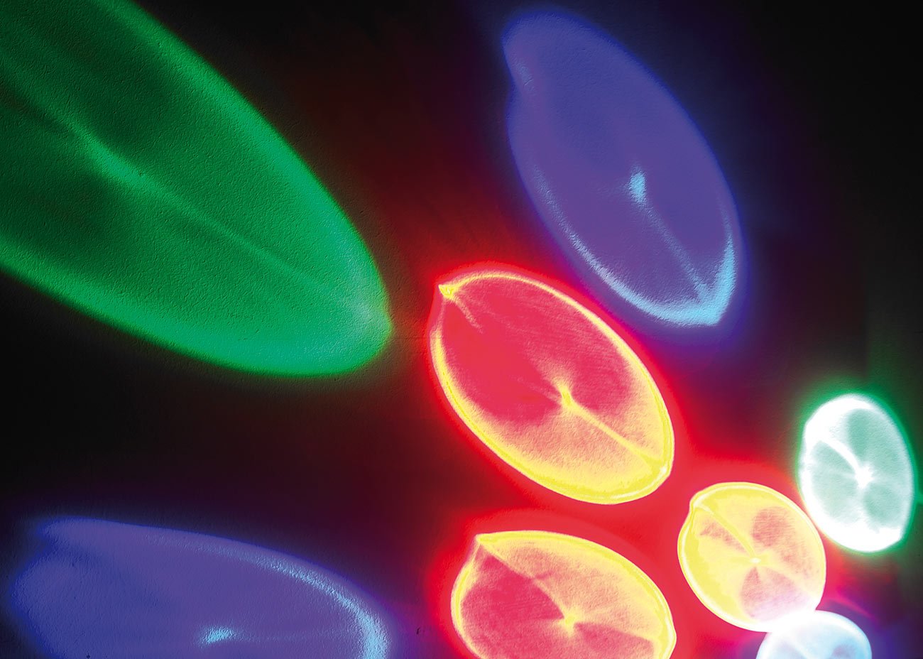 Lunartec Licht-Dekoration Mini-LED-Discolicht Batterie Rot Blau Grün