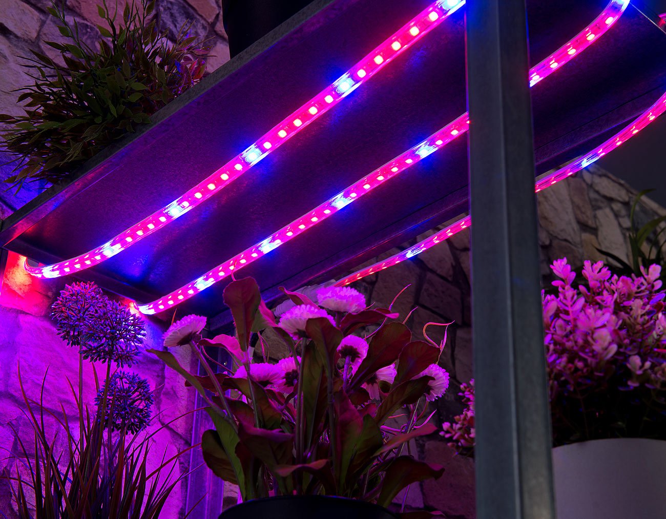 Lunartec Leuchtmittel LED-Pflanzenlicht Streifen 3 m rot-blau