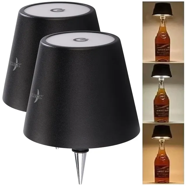 Lunartec Innenbeleuchtung Flaschenlampe 2er-Set RGBW Akku