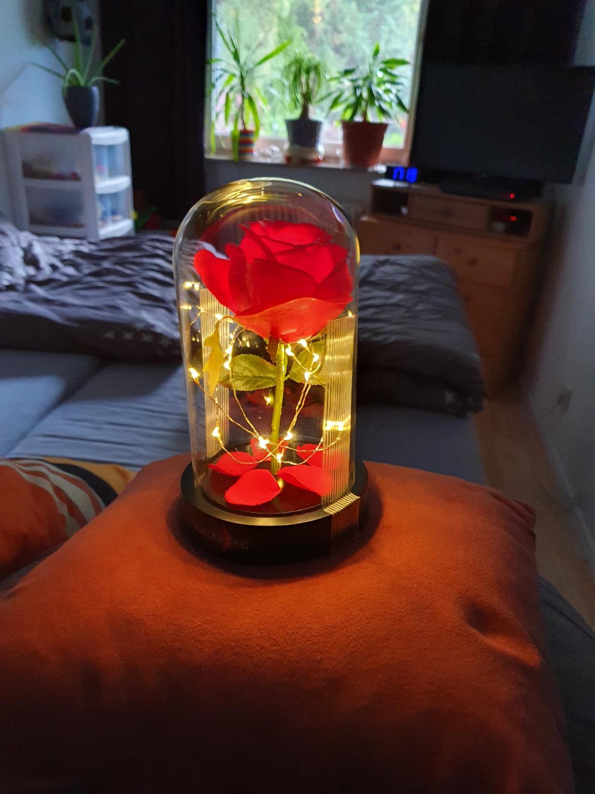 Lunartec Licht-Dekoration Rose im Glas LED rot 11,5x20cm