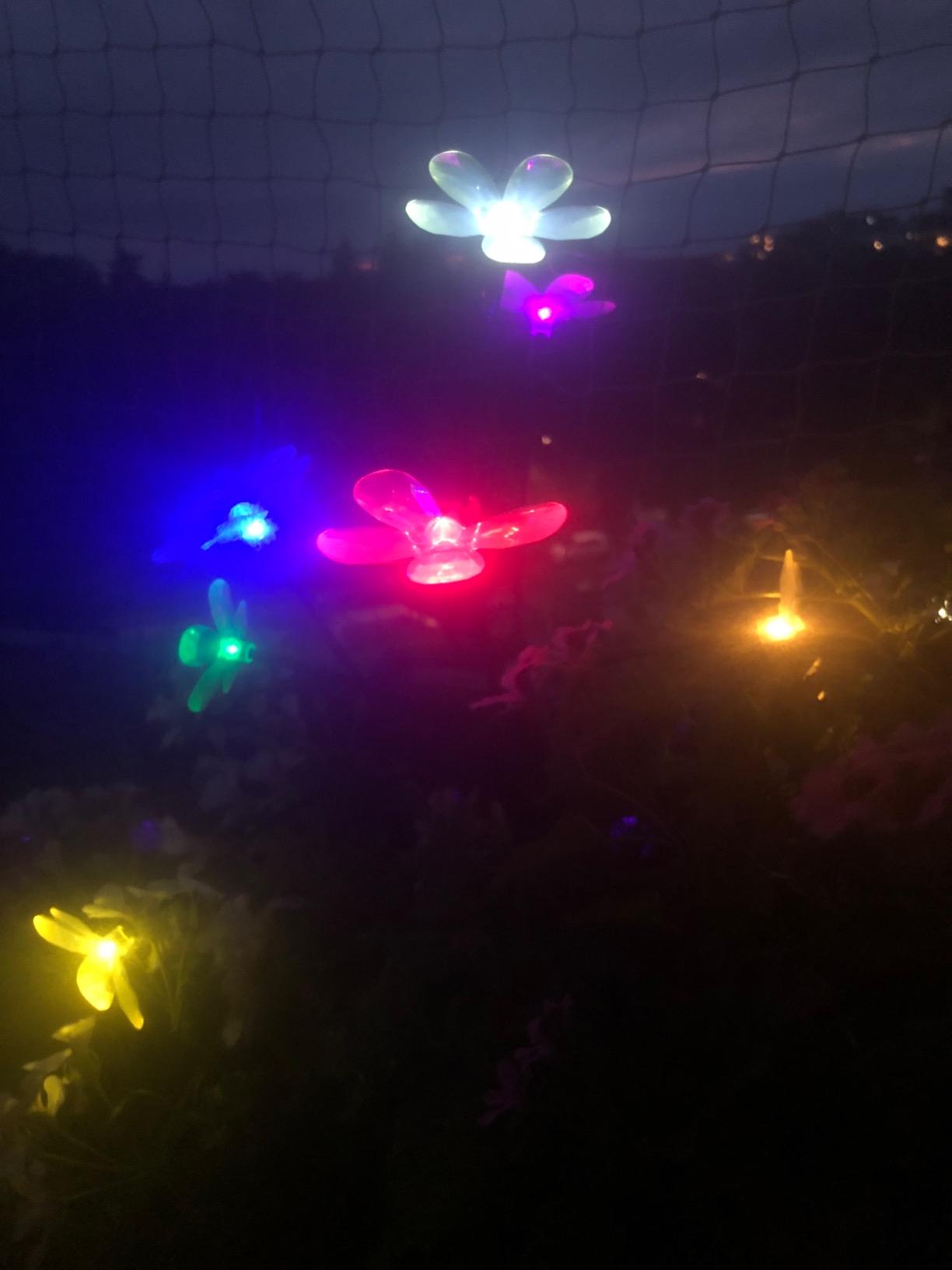 Lunartec Licht-Dekoration Solar-Lichterstrauch multicolor 50 cm