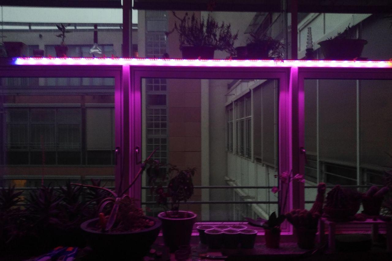 Lunartec Leuchtmittel LED-Pflanzenstreifen 3 m rot-blau