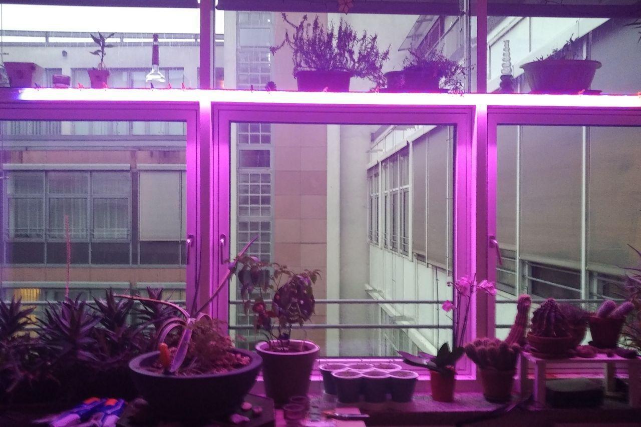 Lunartec Leuchtmittel LED-Pflanzenstreifen 3 m rot-blau