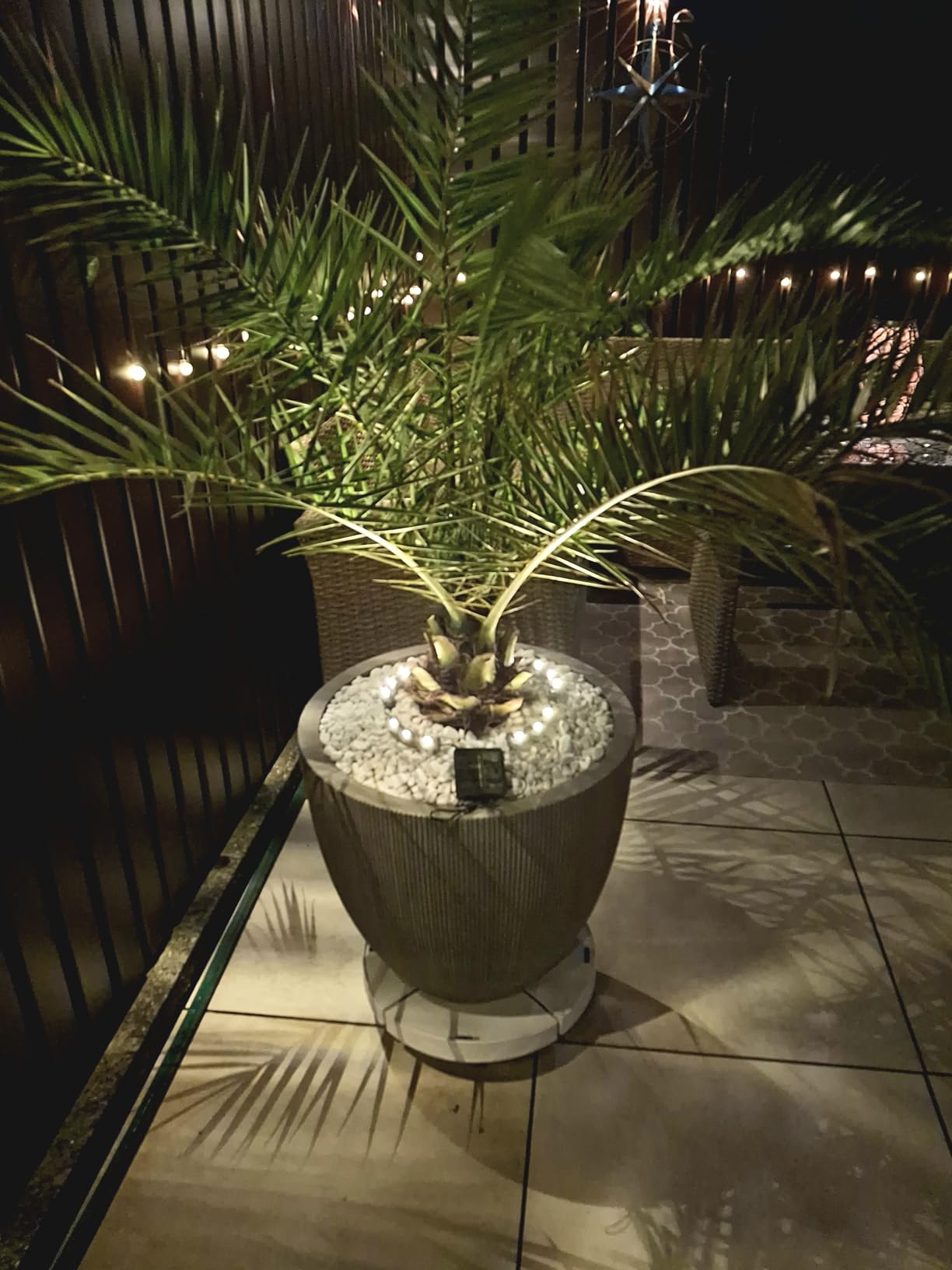 Lunartec Pflanzenstrahler Solar 15 LEDs Dämmerungssensor IP44