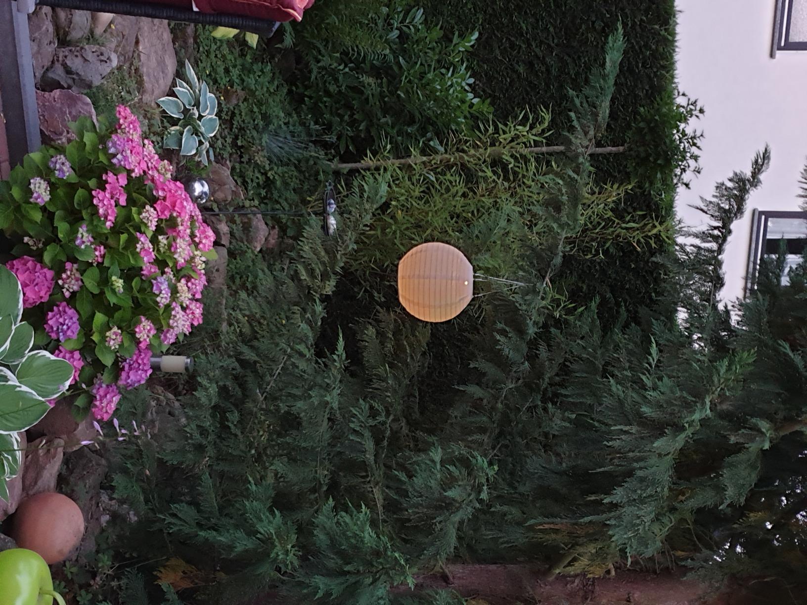 Lunartec Licht-Dekoration Solarlampion 2er-Set 30 cm