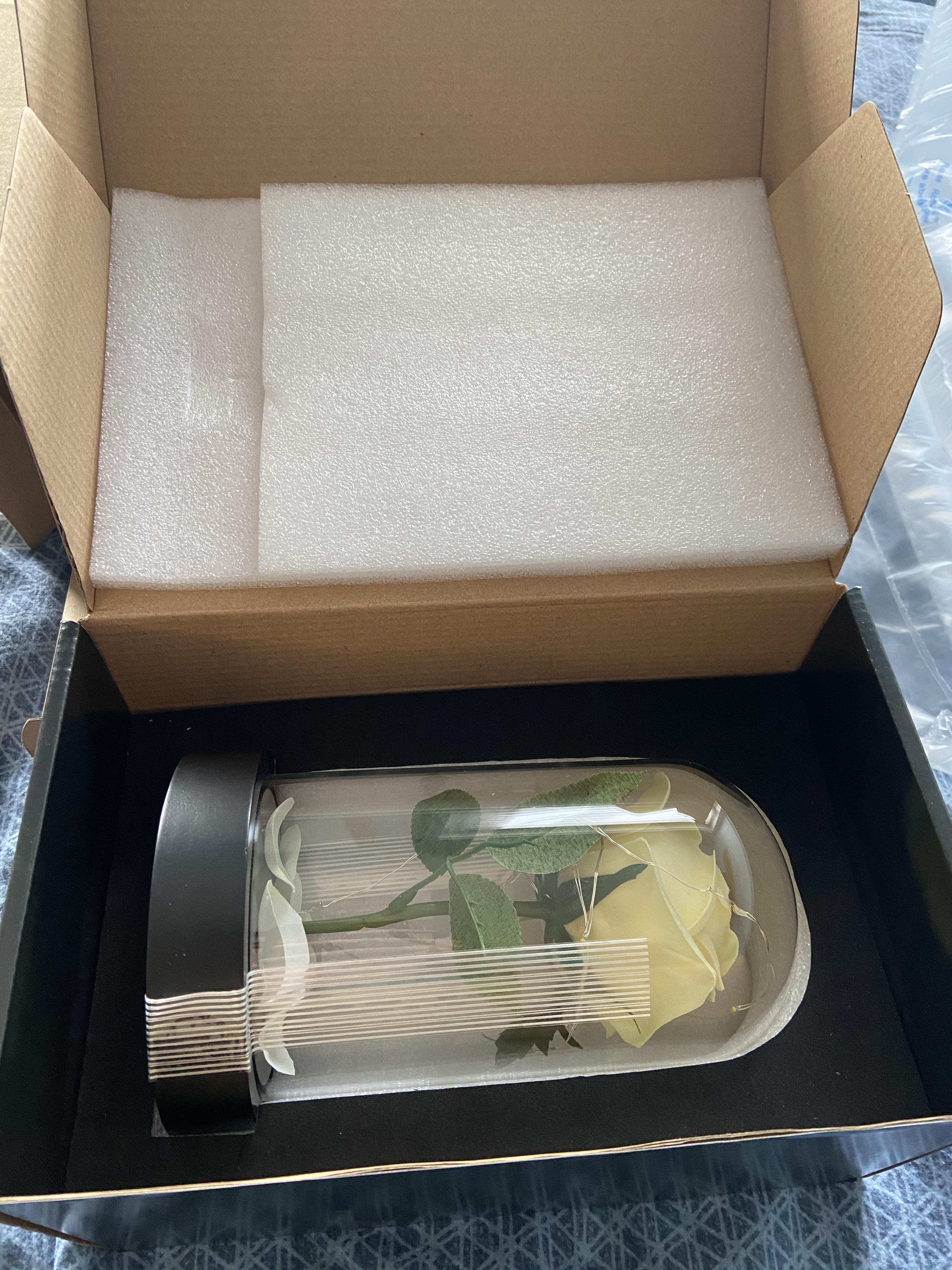 Lunartec LED Rose im Glas weiß warmweiß 25 LEDs Batterie