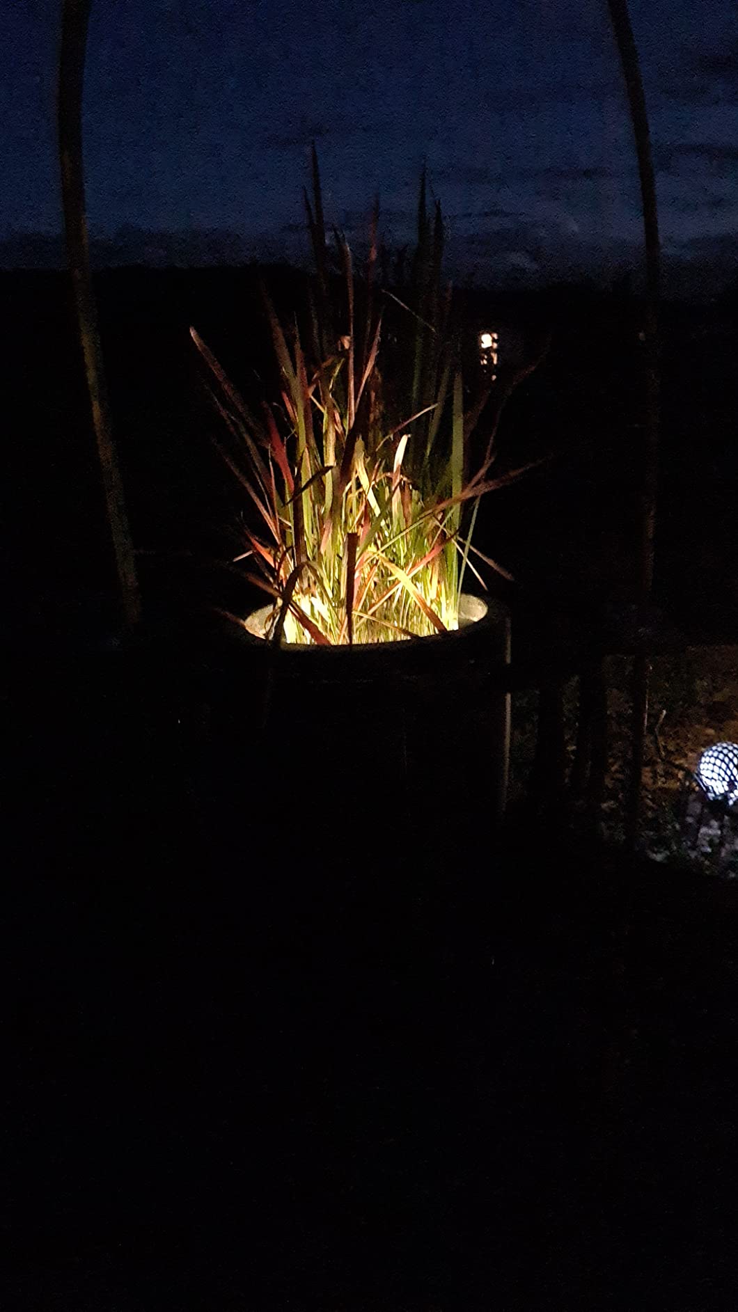 Lunartec Pflanzenstrahler Solar 15 LEDs Dämmerungssensor IP44