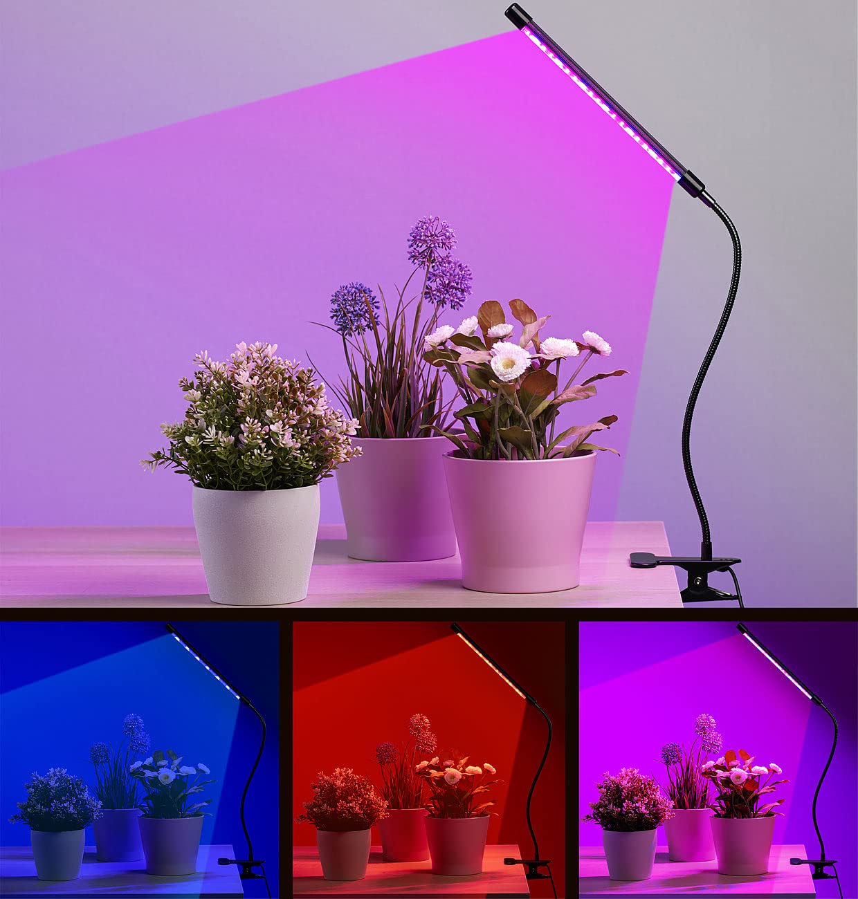 Lunartec Leuchtmittel LED-Pflanzenlampe rot-blau USB dimmbar Clip