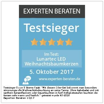 Lunartec LED-Weihnachtskerzen 10er gold Fernbedienung