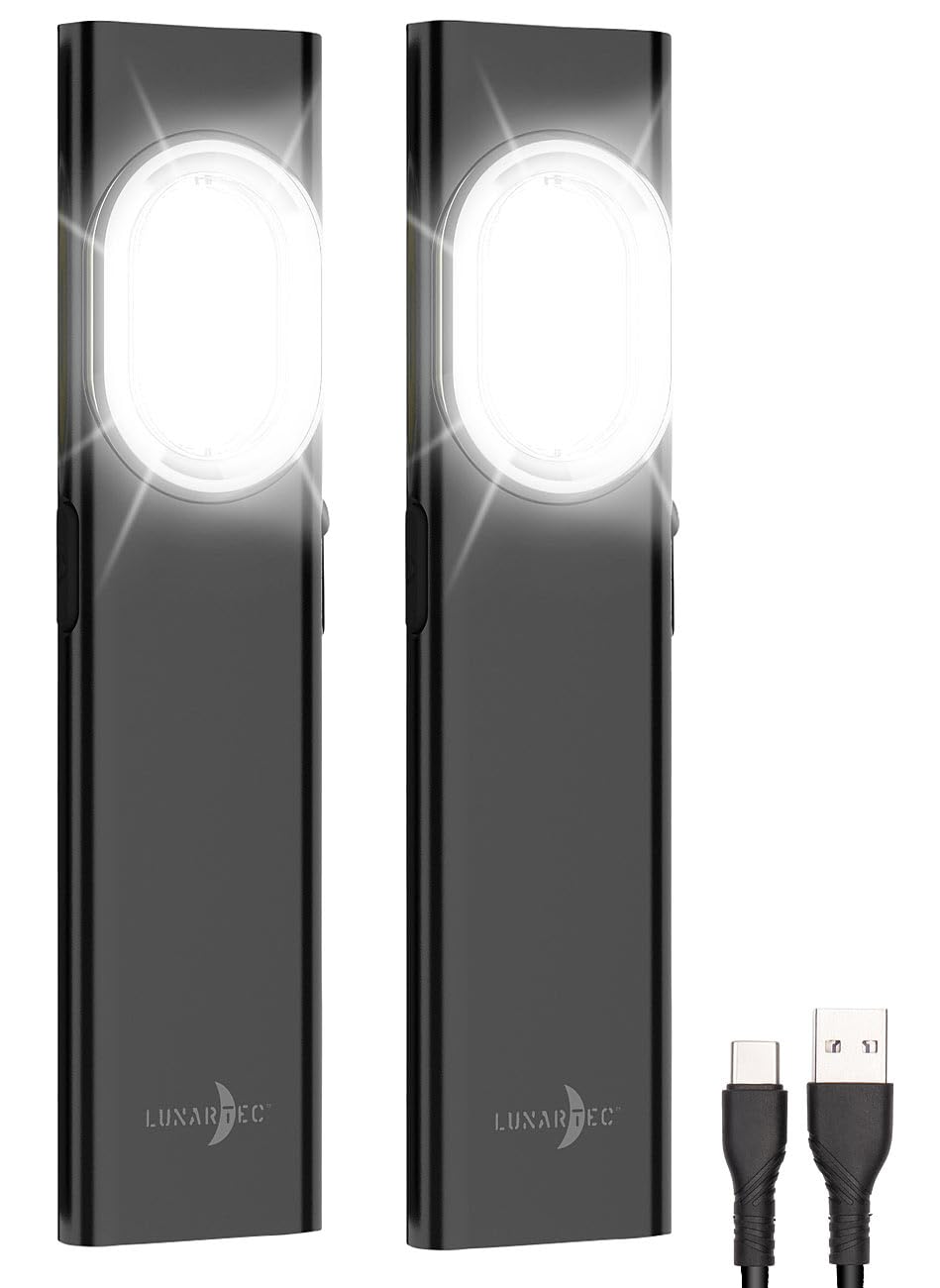Lunartec Taschenlampen Mini-LED-Arbeitsleuchte 2er-Set 700 lm
