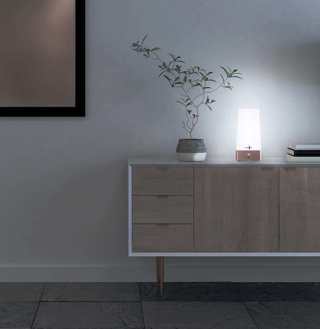 Lunartec Innenbeleuchtung LED Akku Tischlampe 2er-Set warmweiß