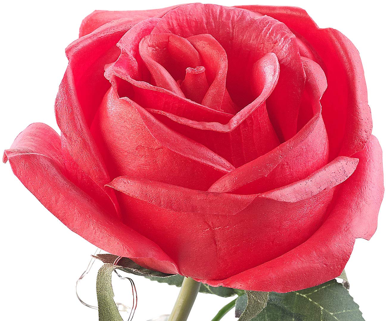 Lunartec Licht-Dekoration Rose im Glas LED rot 11,5x20cm