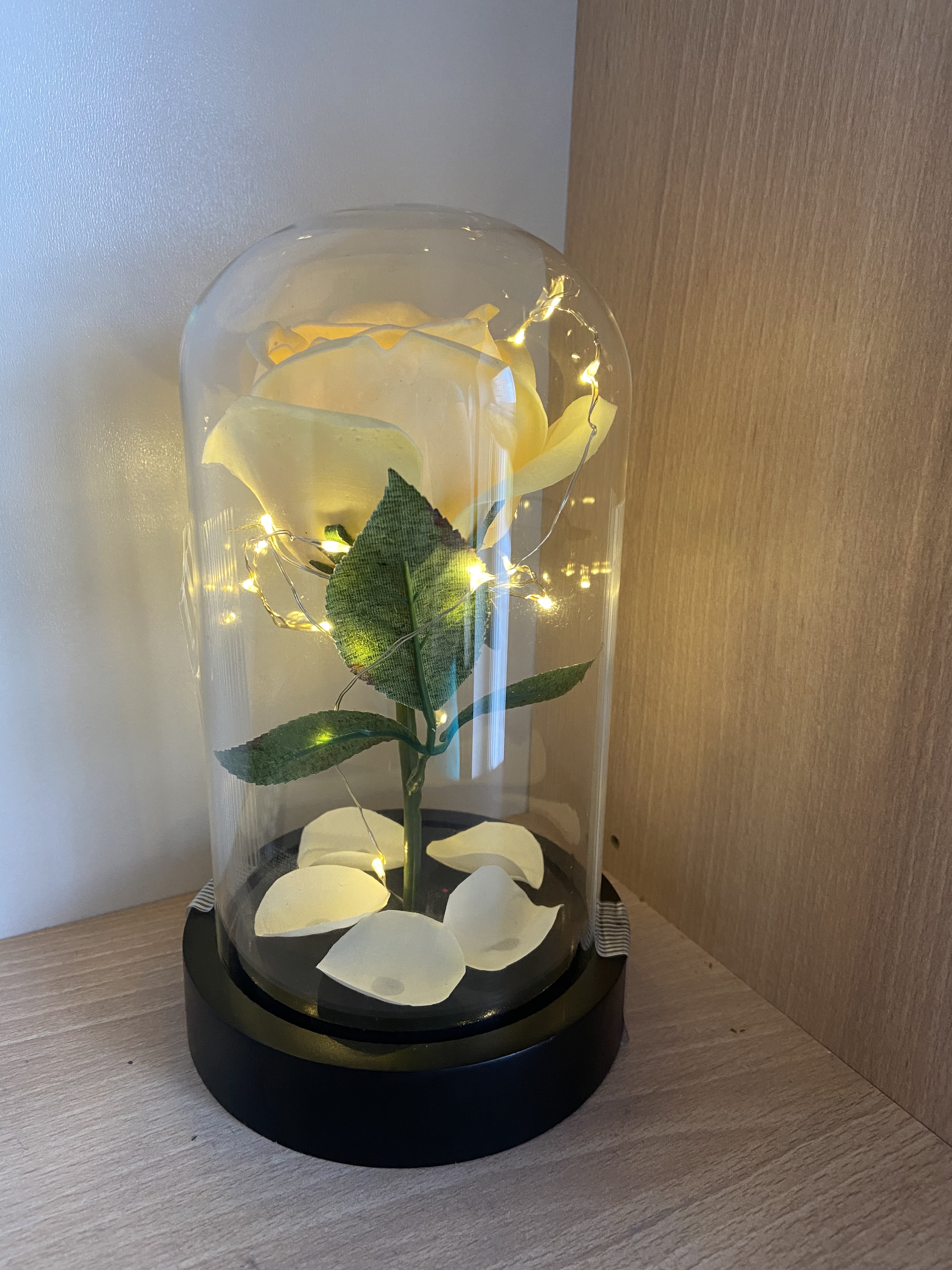 Lunartec LED Rose im Glas weiß warmweiß 25 LEDs Batterie
