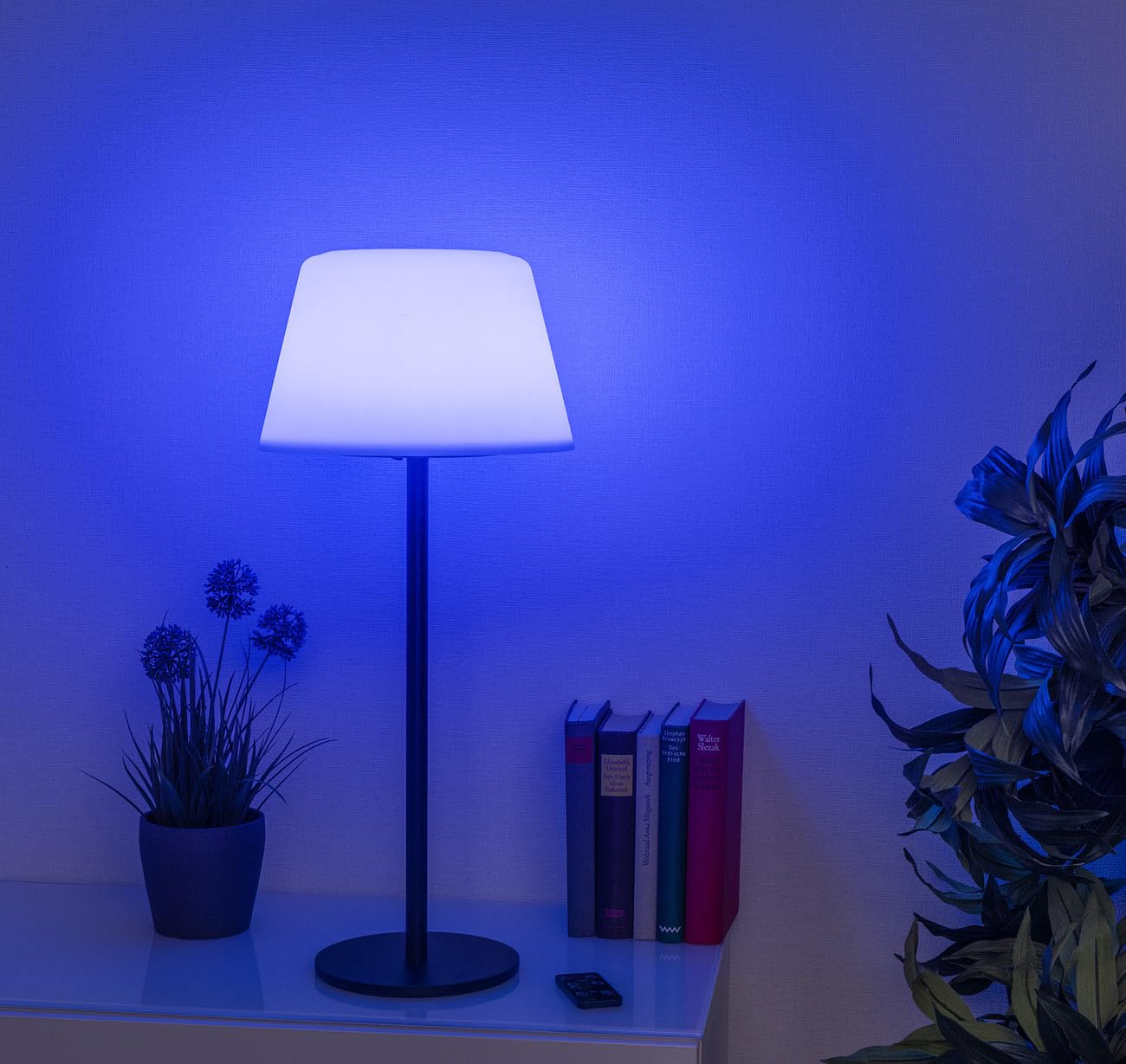Lunartec Außenbeleuchtung Balkonlampe Solar RGB einzeln 400 lm