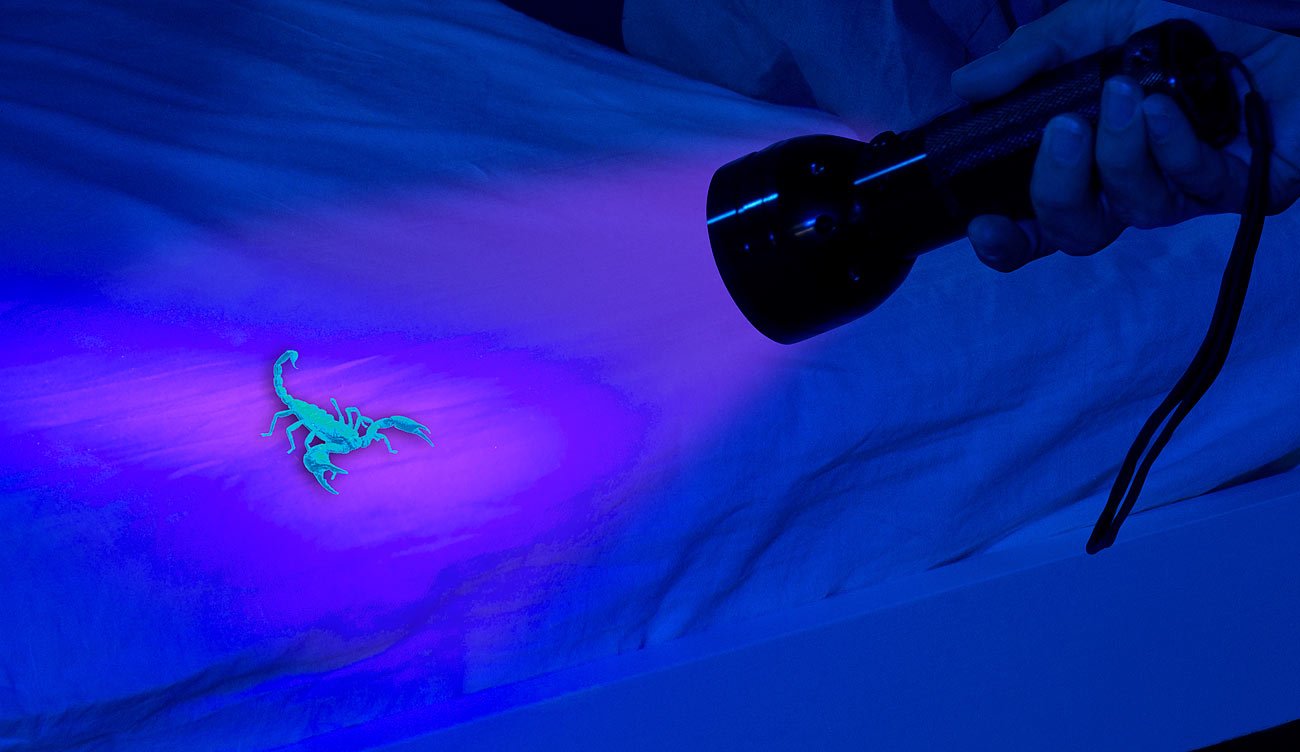 Lunartec UV-Taschenlampe 51 LEDs Geldscheinprüfer Batterie