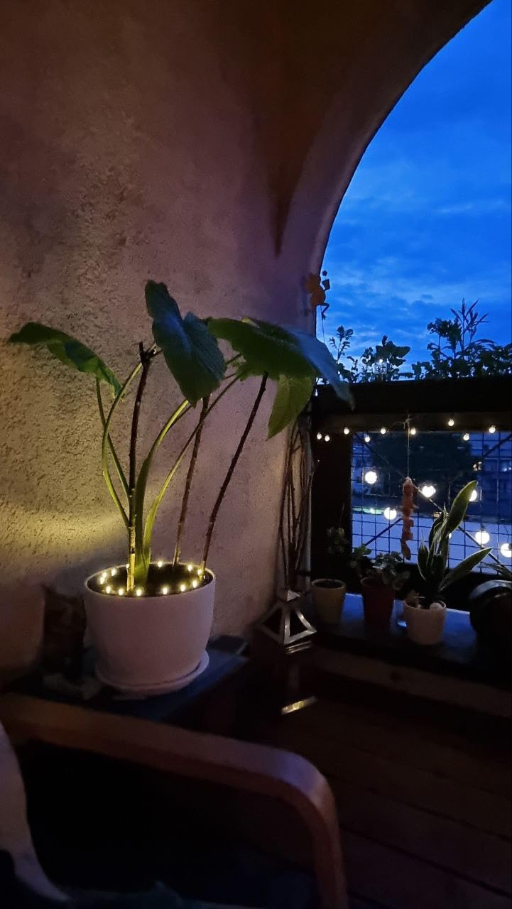 Lunartec Pflanzenstrahler Solar 15 LEDs Dämmerungssensor IP44
