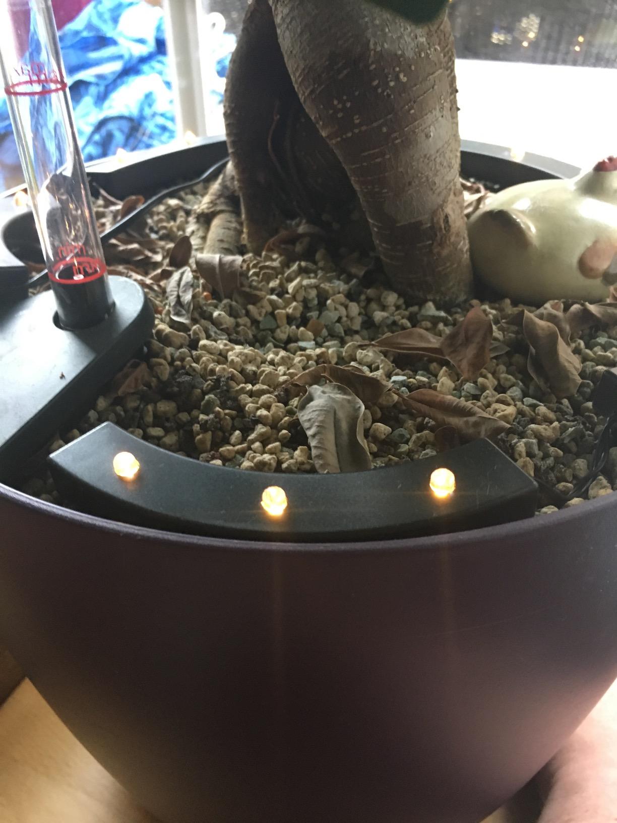 Lunartec Pflanzenstrahler Solar 15 LEDs Dämmerungssensor IP44